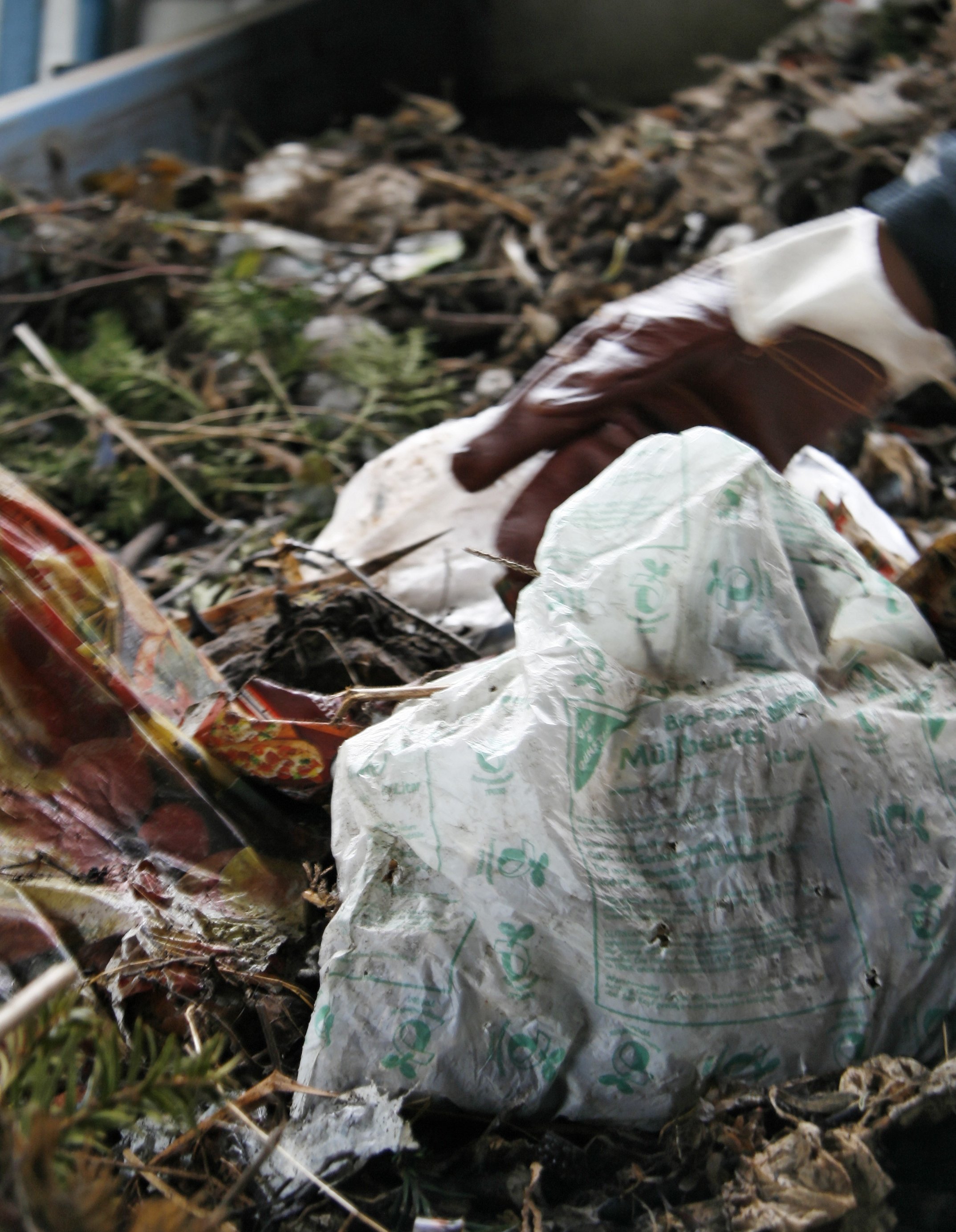 Plastiktüte liegt im Bioabfall