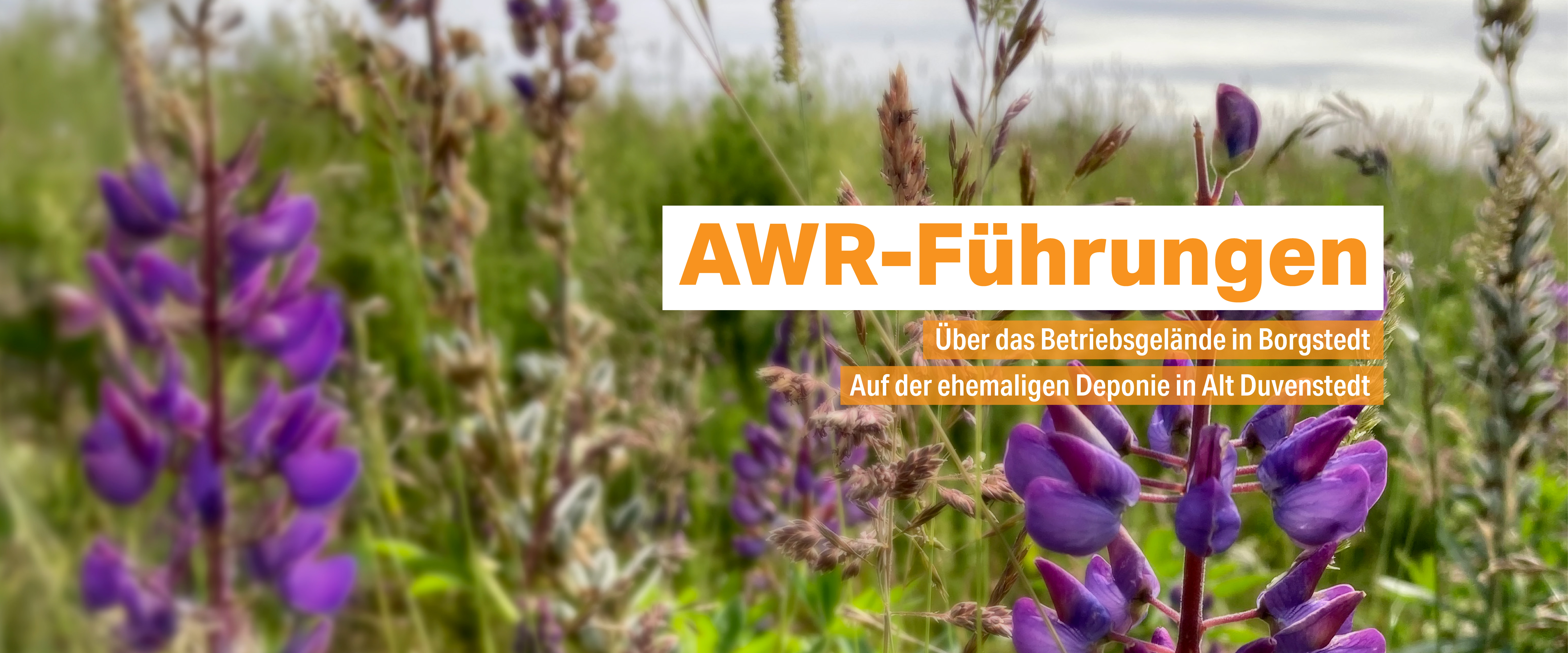 Termine der Führungen
