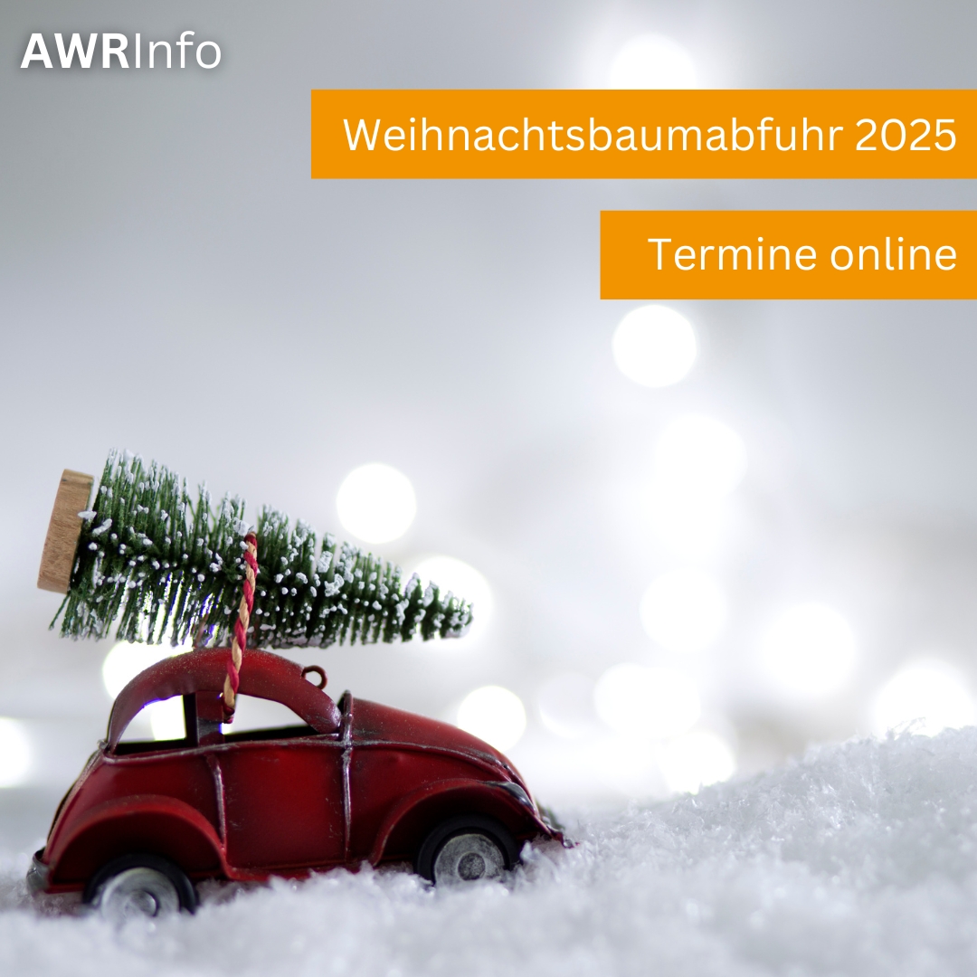 Auto mit Tannenbaum auf dem Dach