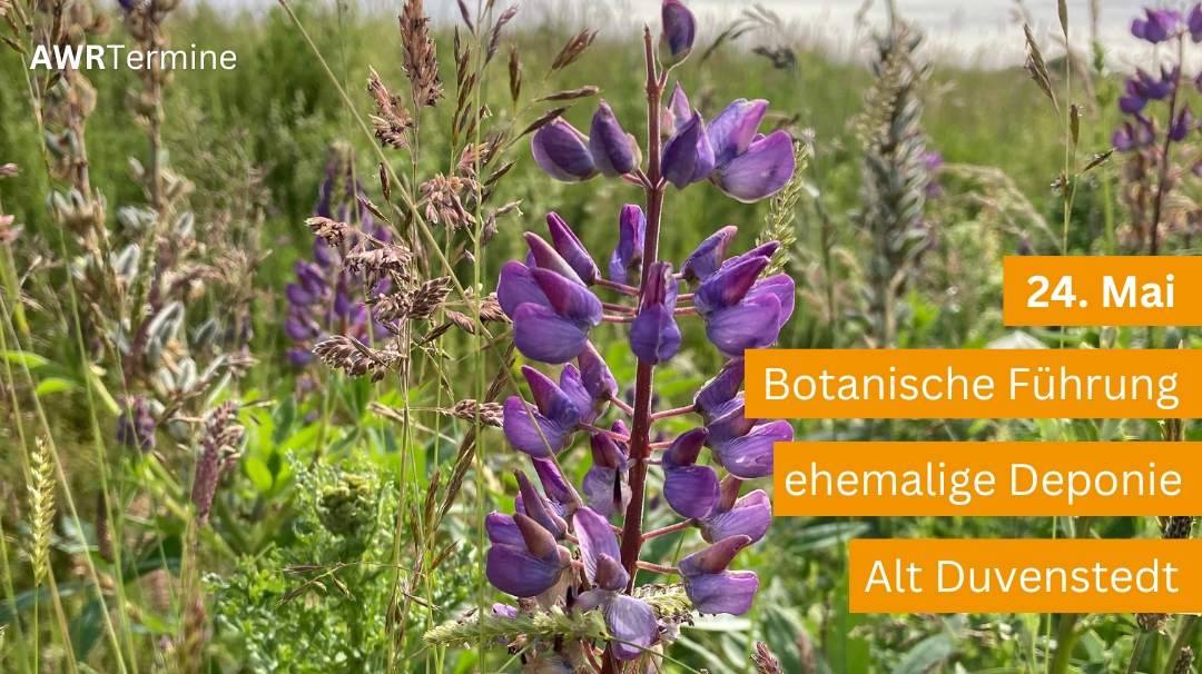 Botanische Führung 