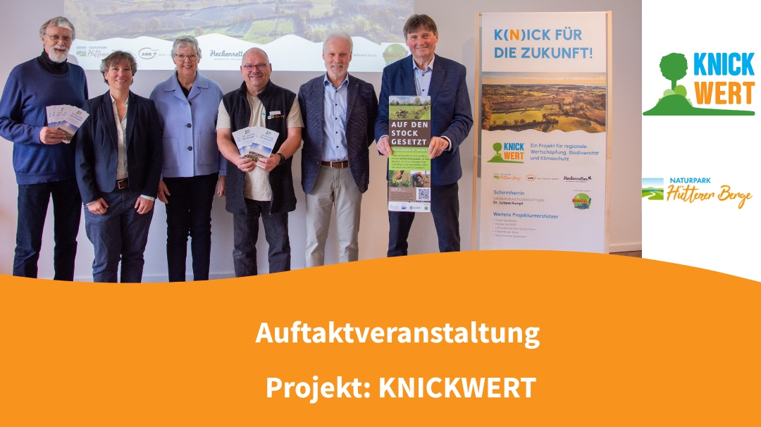 Projekt KNICKWERT