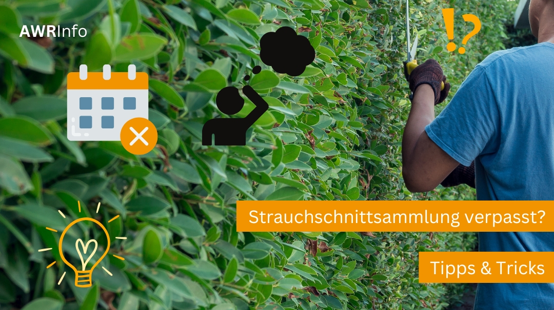 Strauchschnittsammlung verpasst?