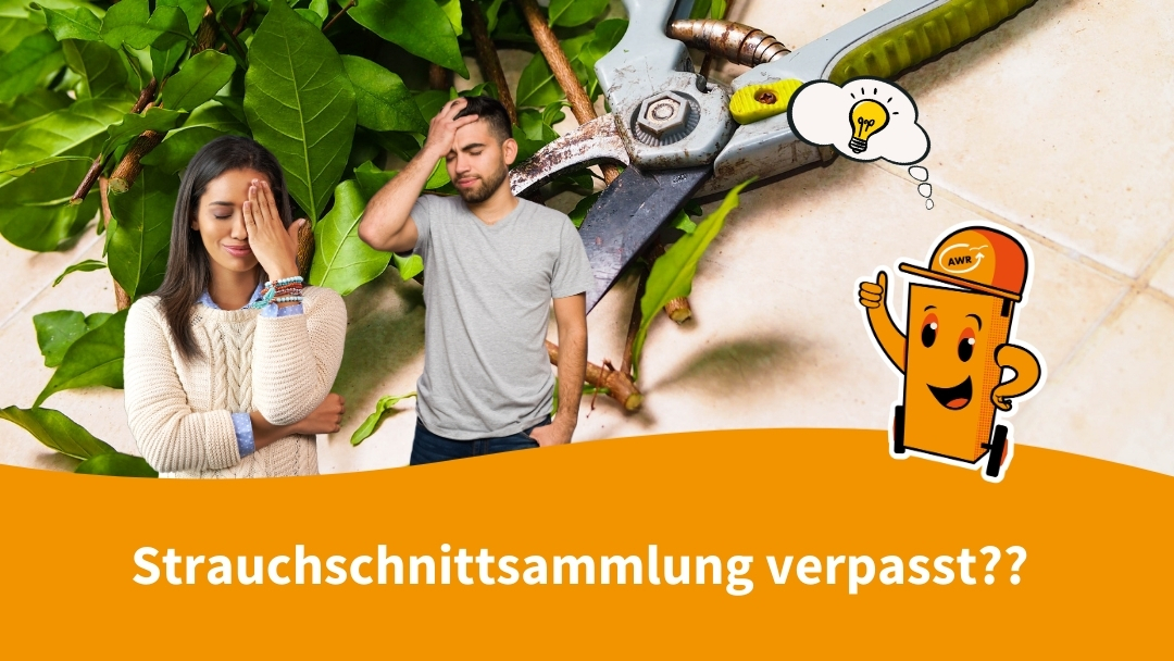 Strauchschnittsammlung verpasst?