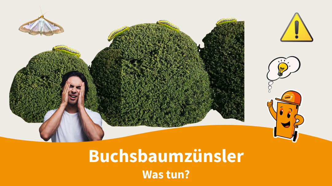 Korrekte Entsorgung