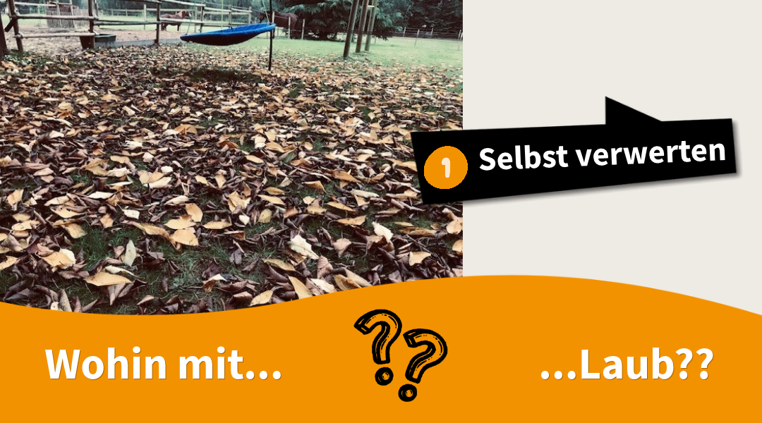 Wohin mit....
