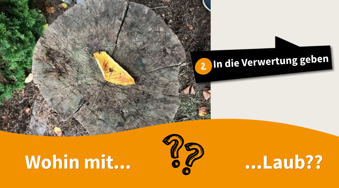 Wohin mit...