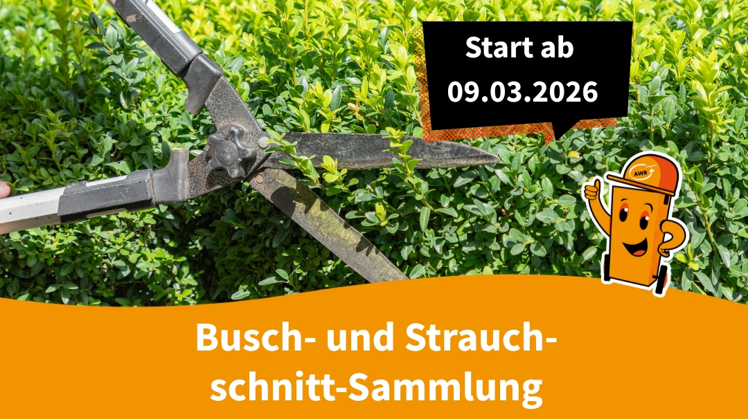 Start der Strauchschnittsammlung