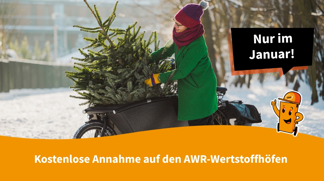 Kostenlose Annahme von Weihnachtsbäumen